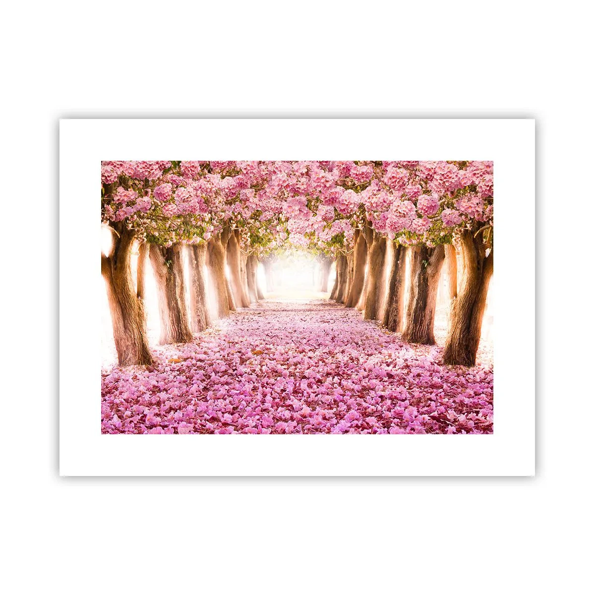Poster - Der Weg ins Paradies - 40x30 cm