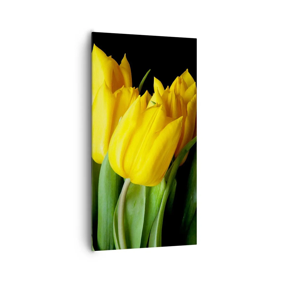 Bild auf Leinwand - Leinwandbild - Aus klarer Sonne entstanden - 65x120 cm