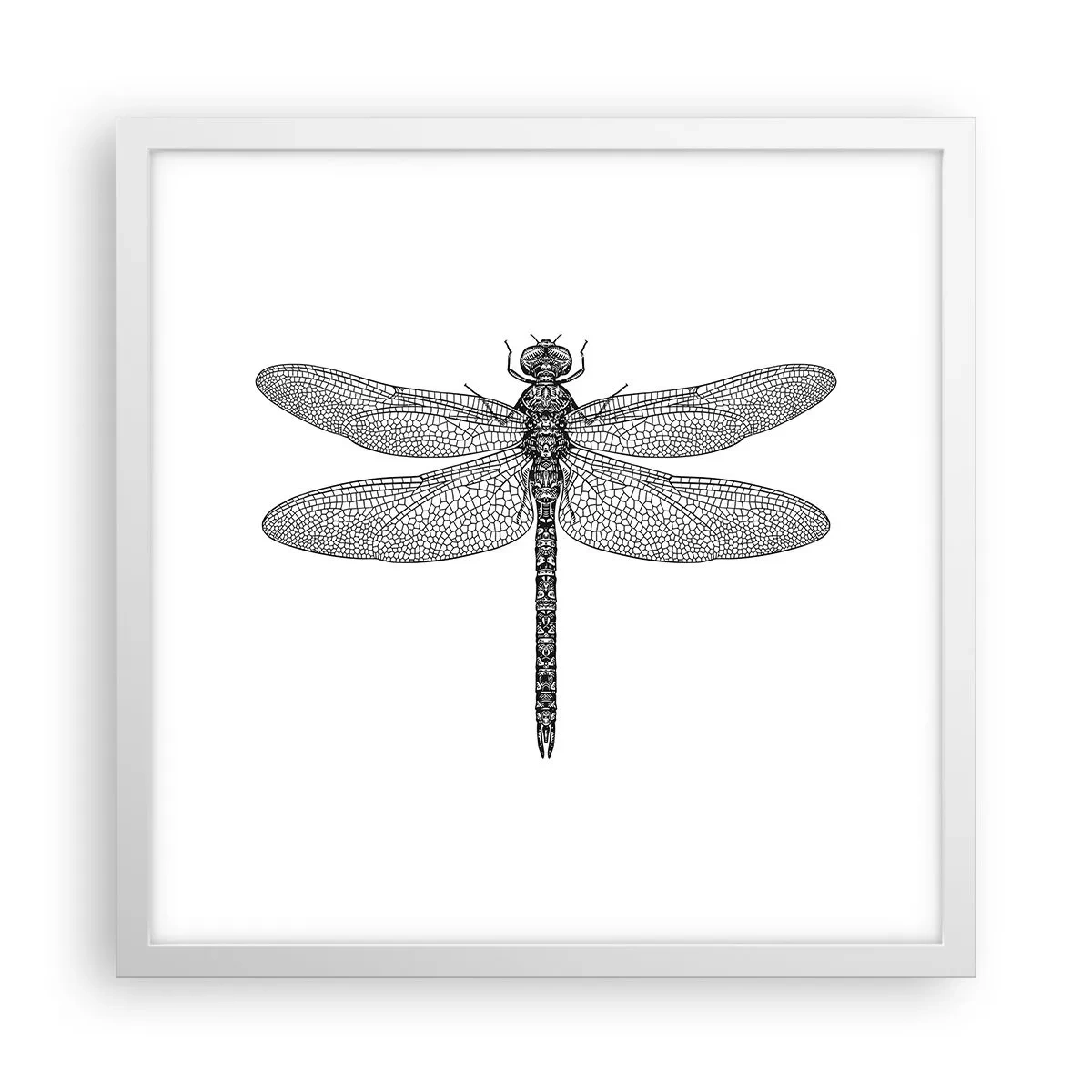 Poster in einem weißen Rahmen - Präzision der Natur - 40x40 cm