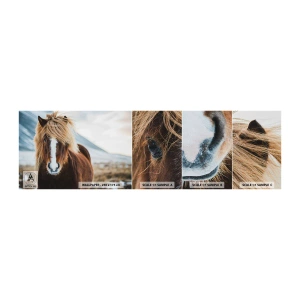 Fototapeten Muster Selbstklebend Deluxe Sticker - Spürst du die Freiheit? - Pferd, Natur, Tiere - 100x30 cm