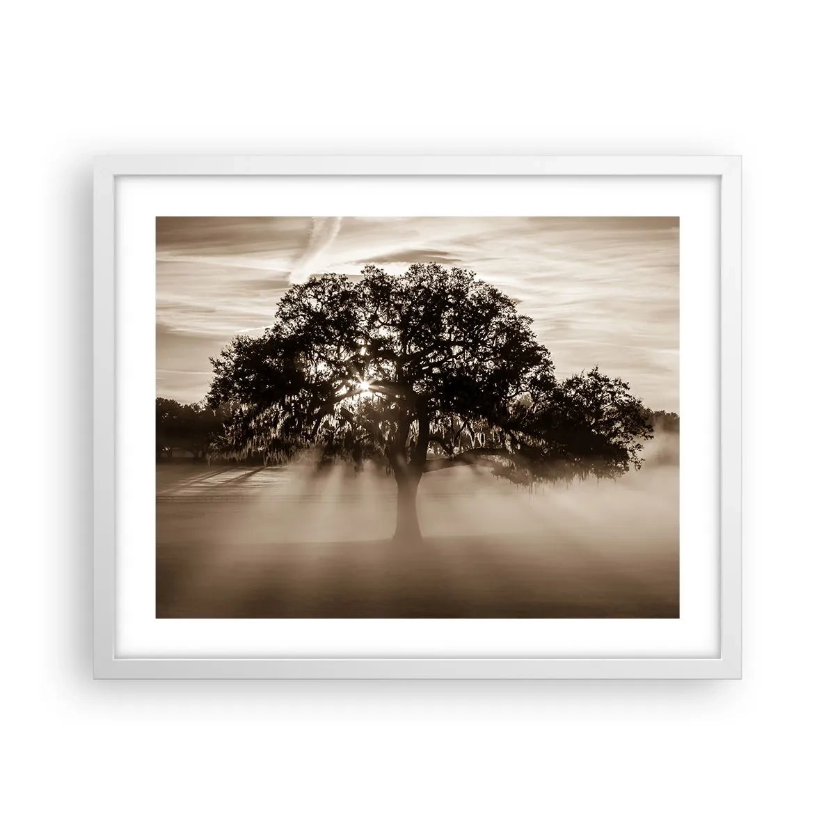 Poster in einem weißen Rahmen - Baum der guten Nachrichten  - 50x40 cm