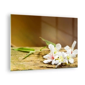 Glasbild - Bild auf glas - Weiße Blumen auf einem hölzernen Hintergrund in warmem Licht - 70x50cm - Ein unschuldiges Versprechen - Moderne Wanddekoration für Wohnzimmer und Schlafzimmer ARTTOR
