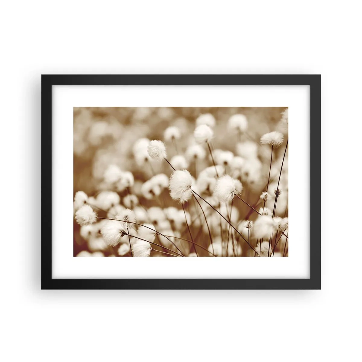 Poster in einem schwarzem Rahmen - Flauschiges Kornfeld - 40x30 cm