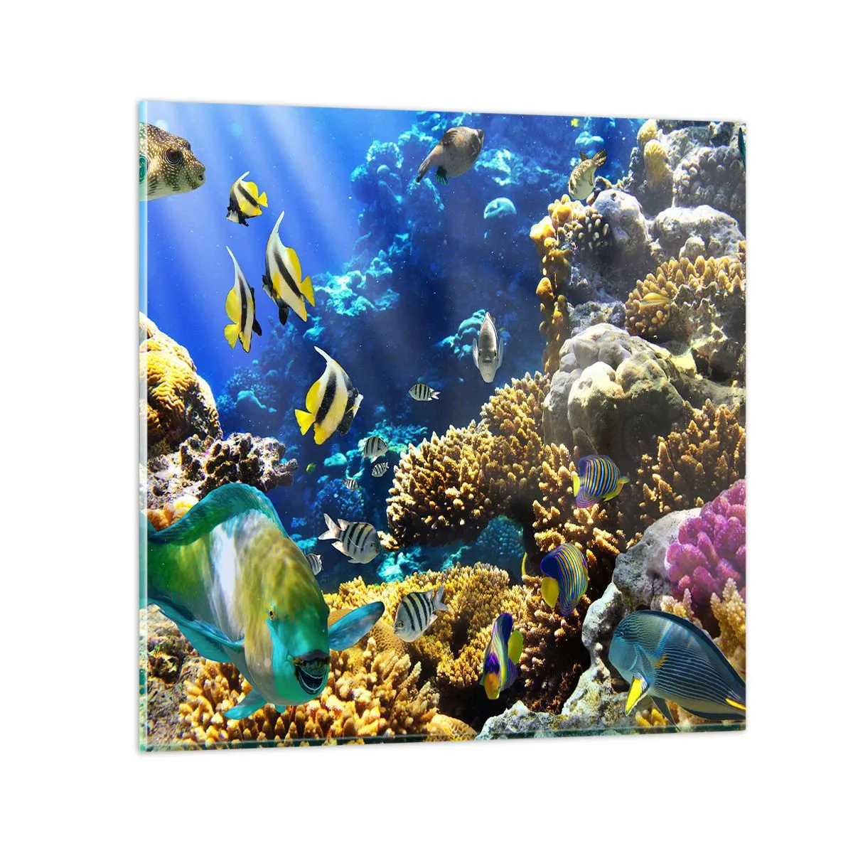 Glasbild - Bild auf glas - Viel Verkehr auf dem Ferienweg - 40x40 cm