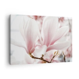 Bild auf Leinwand - Leinwandbild - Zarte Magnolienblüten in Pastelltönen - 70x50cm - Eine Fülle von Zärtlichkeit - Moderne Wanddekoration für Wohnzimmer und Schlafzimmer ARTTOR