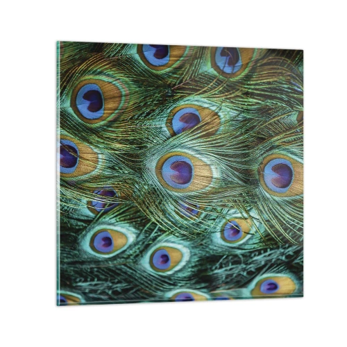 Glasbild - Bild auf glas - Ein Blick mit Pfauenaugen - 30x30 cm