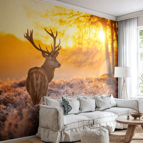 Selbstklebende Fototapete Deluxe Sticker - König des Herbstwaldes - Landschaft, Reh, Natur - 450x315 cm