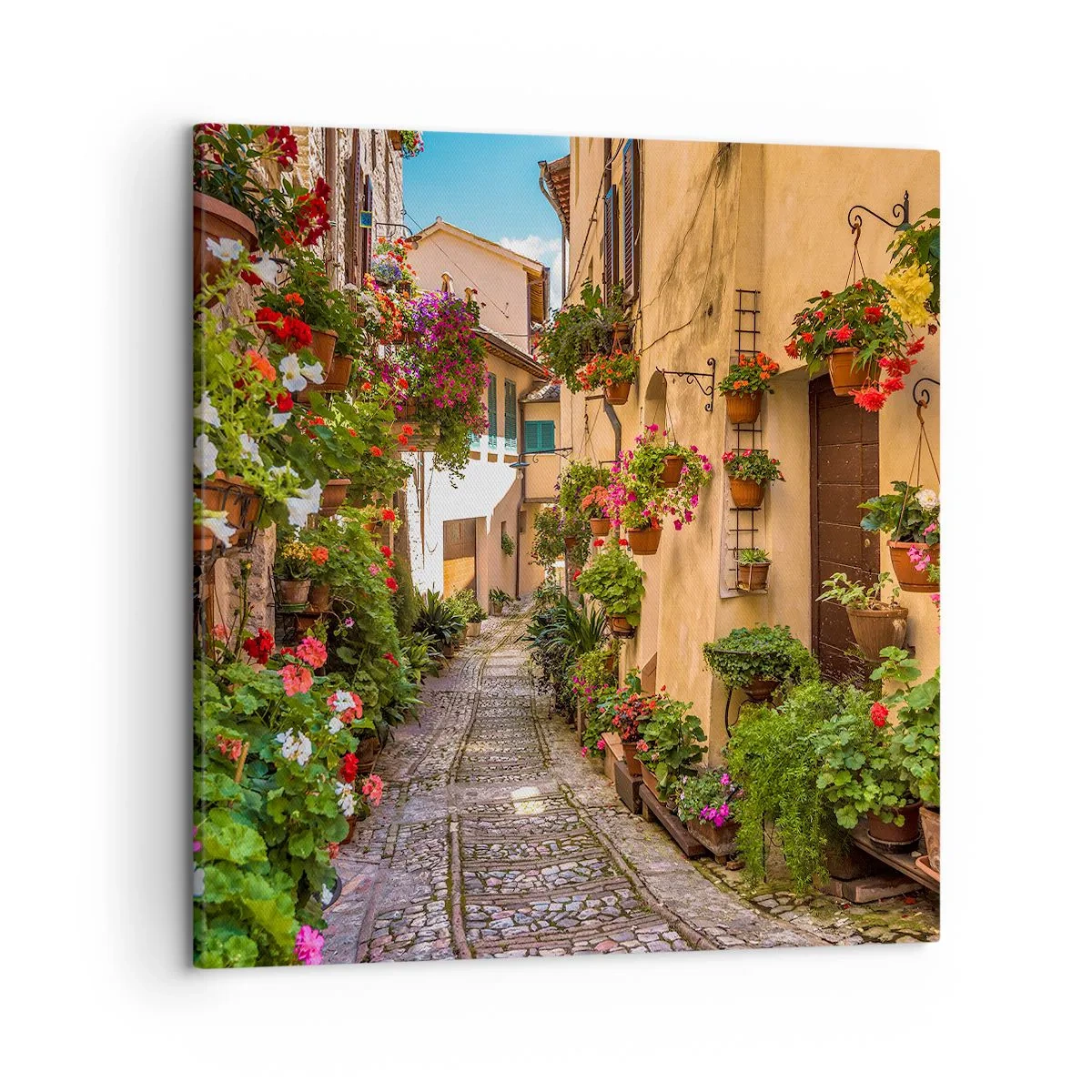 Bild auf Leinwand - Leinwandbild - Italienische Gasse - 50x50 cm