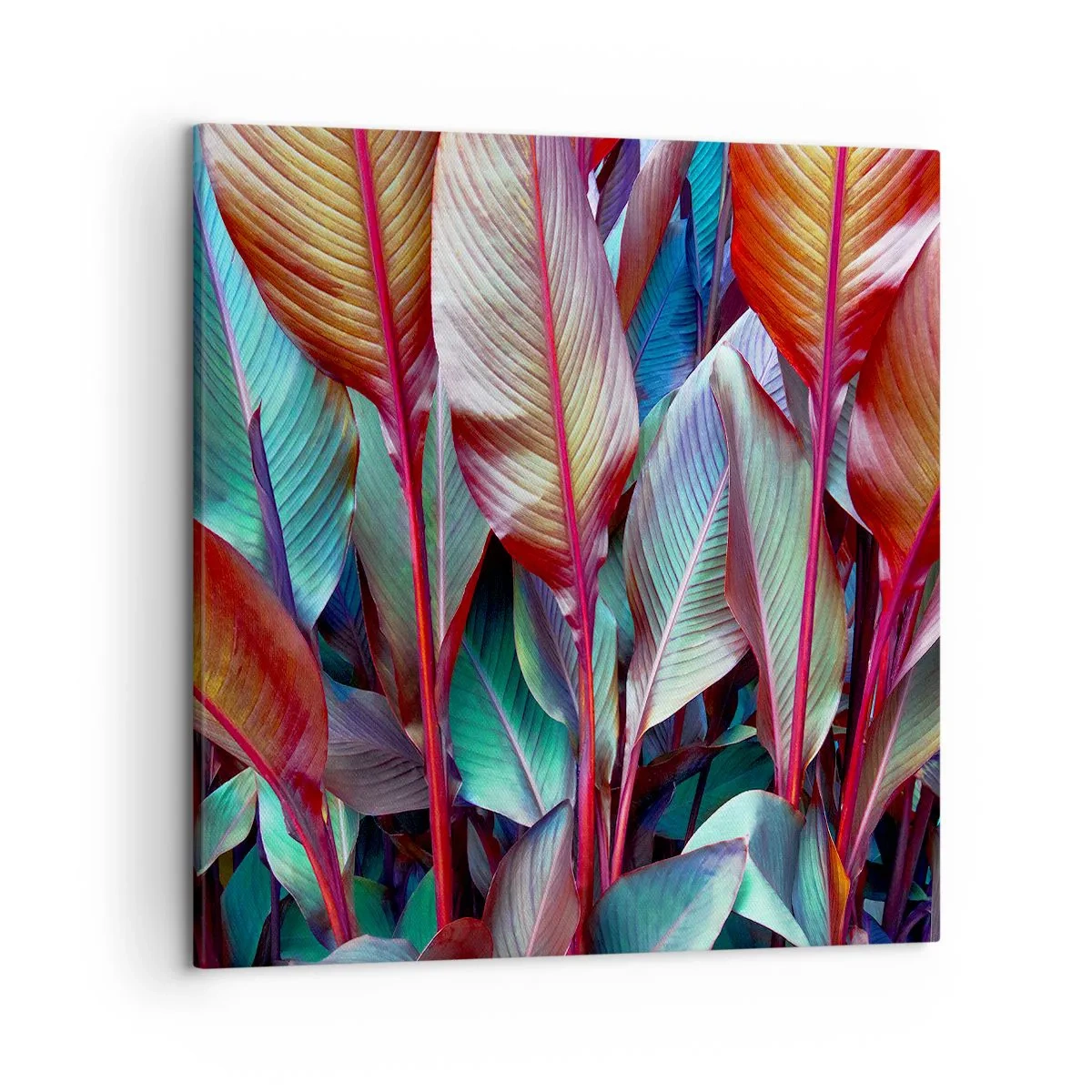 Bild auf Leinwand - Leinwandbild - Buntes Dickicht - 50x50 cm