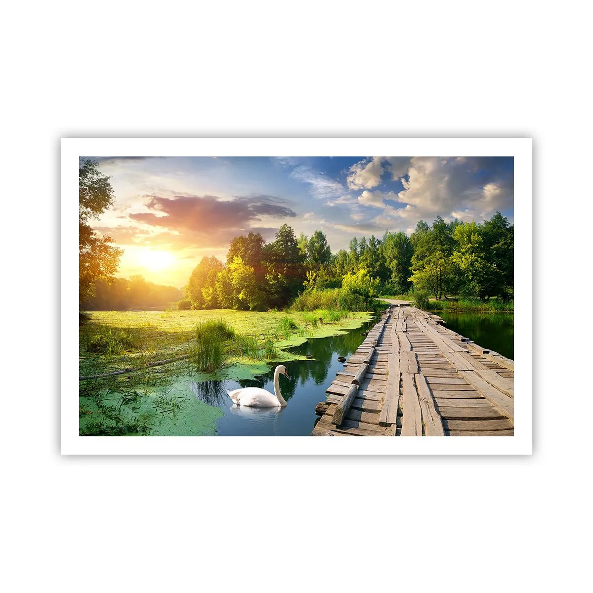 Poster - Sommer, Sommer überall - 91x61 cm
