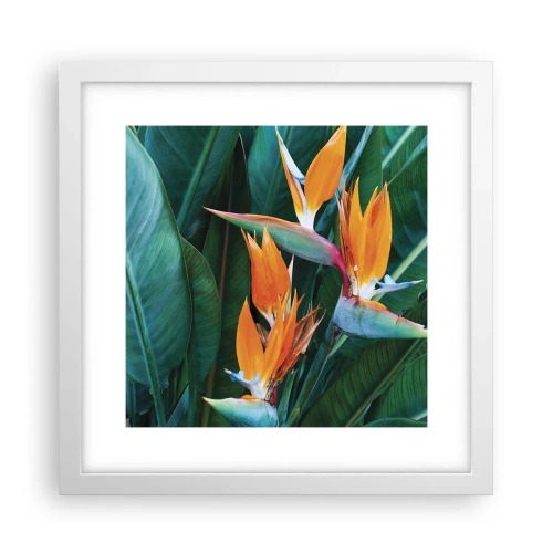 Poster in einem weißen Rahmen - Ist es eine Blume oder ist es ein Vogel? - 30x30 cm