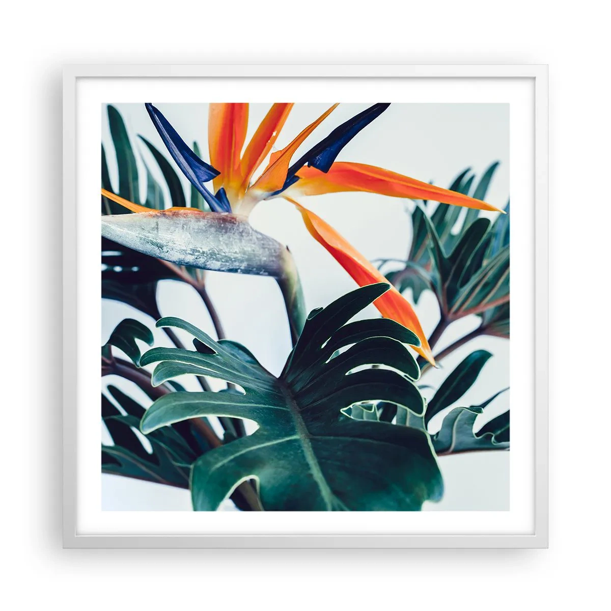 Poster in einem weißen Rahmen - Vogelbusch - 60x60 cm