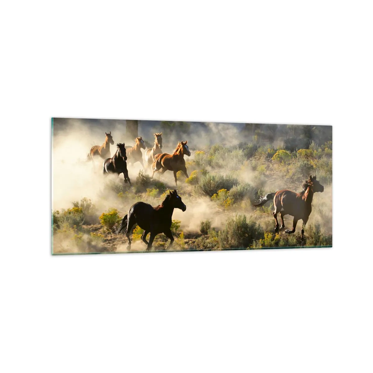 Glasbild - Bild auf glas - Eine Herde wilder Pferde galoppiert durch Staub und Vegetation - 120x50cm - Rivalität – Freiheit oder männliche Stärke? - Moderne Wanddekoration für Wohnzimmer und Schlafzimmer ARTTOR