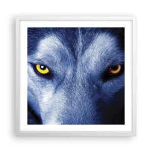 Poster in einem weißen Rahmen - Faszinierender Blick - 50x50 cm