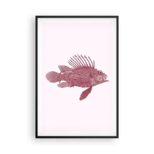 Poster in einem schwarzem Rahmen - Bewohner exotischer Gewässer - 61x91 cm