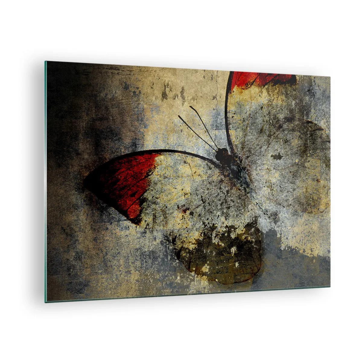 Glasbild - Bild auf glas - Abstrakter Schmetterling auf gealtertem Hintergrund - 70x50cm - Pass auf, bevor ich verschwinde - Moderne Wanddekoration für Wohnzimmer und Schlafzimmer ARTTOR
