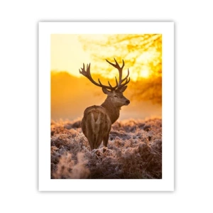 Poster - König des Herbstwaldes - 40x50 cm