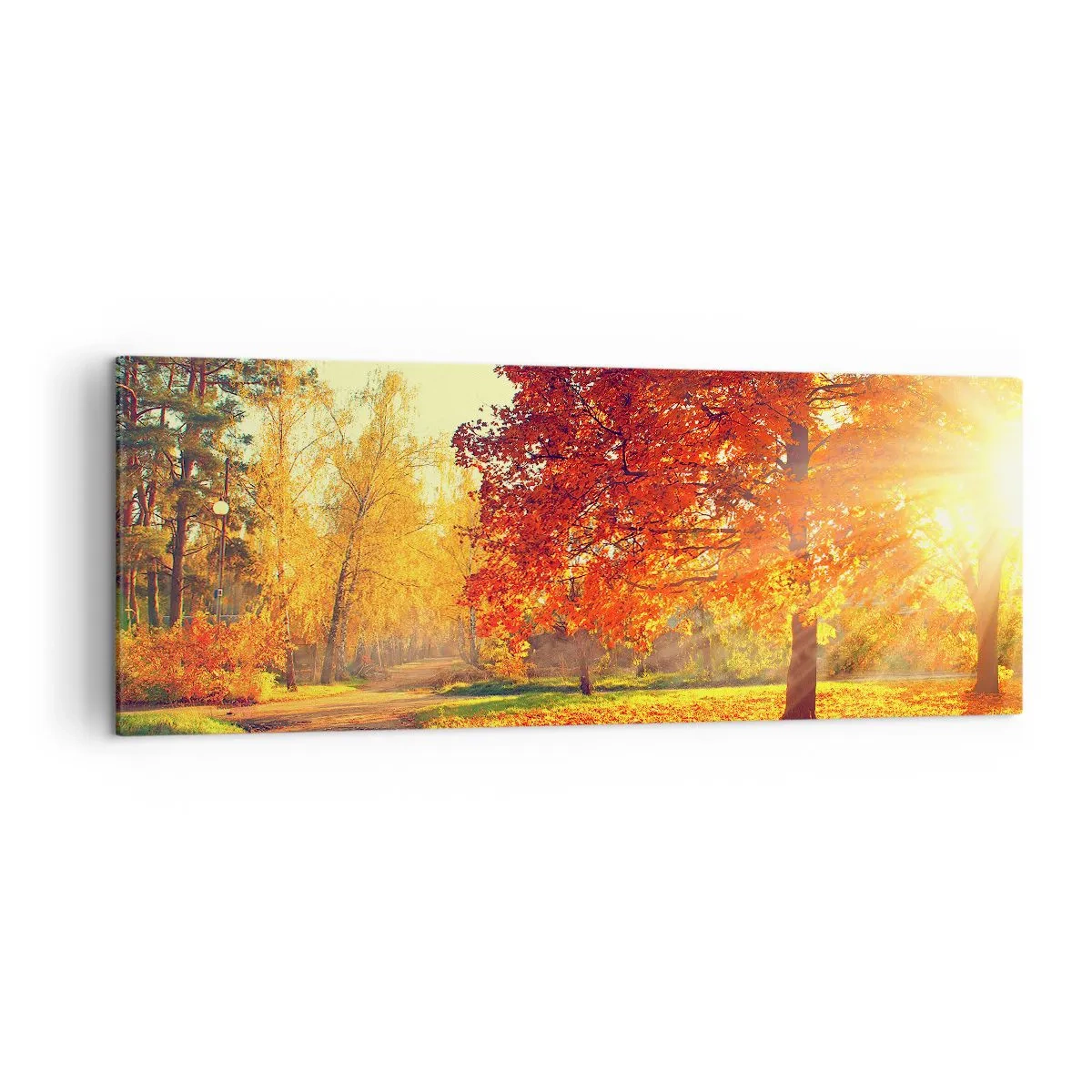 Bild auf Leinwand - Leinwandbild - Herbstpark im Sonnenlicht - 140x50cm - Unhöflich ist schön - Moderne Wanddekoration für Wohnzimmer und Schlafzimmer ARTTOR