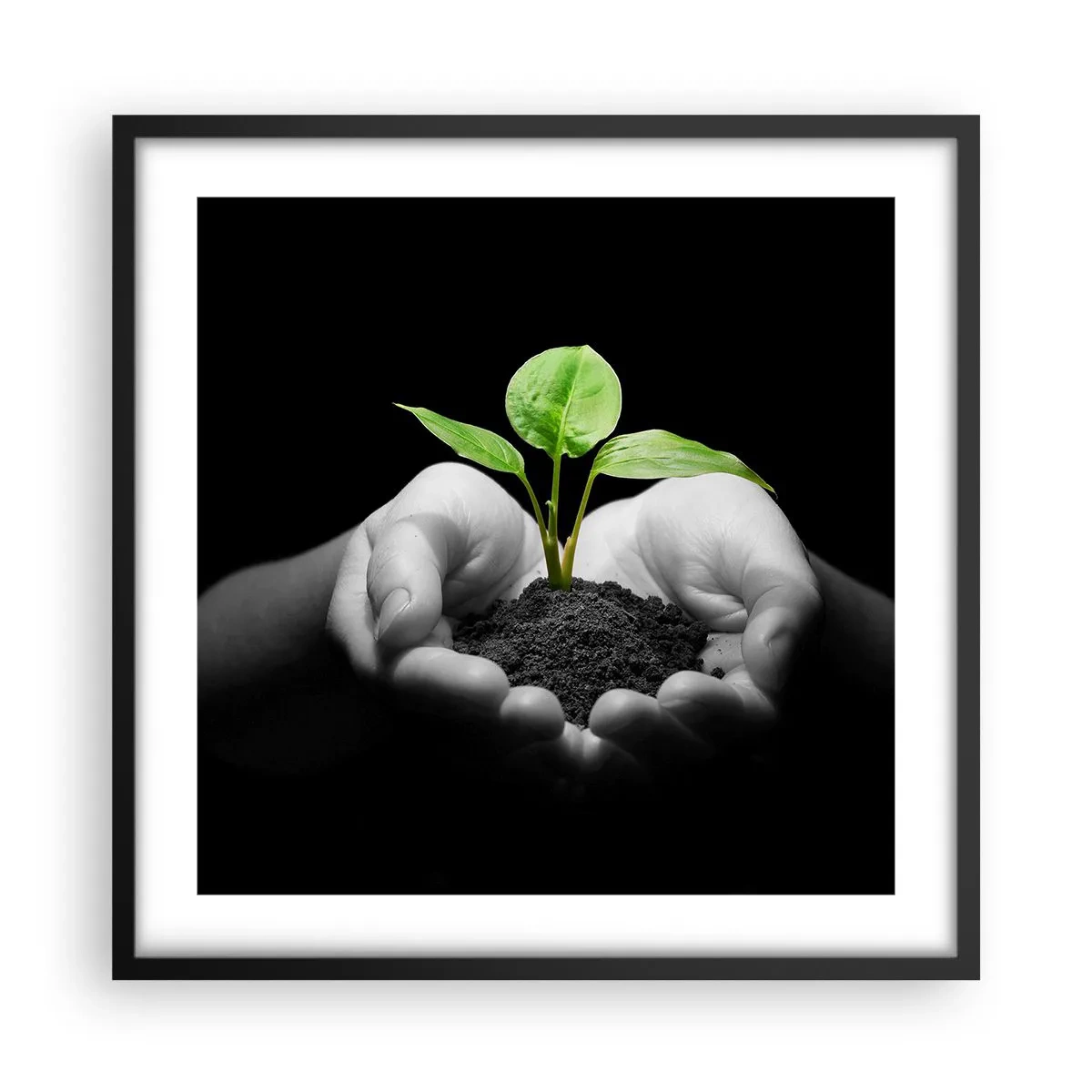 Poster in einem schwarzem Rahmen - Ich liebe die Natur, ich beschütze sie - 50x50 cm