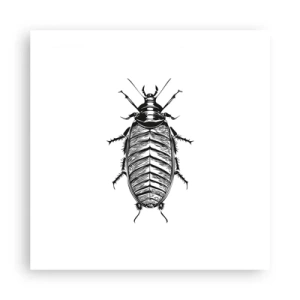 Poster - Was für ein Exemplar! - 50x50 cm