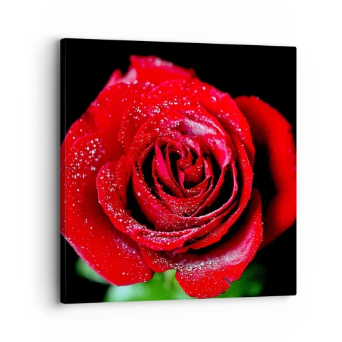Bild auf Leinwand - Leinwandbild - Das ist Liebe - 30x30 cm