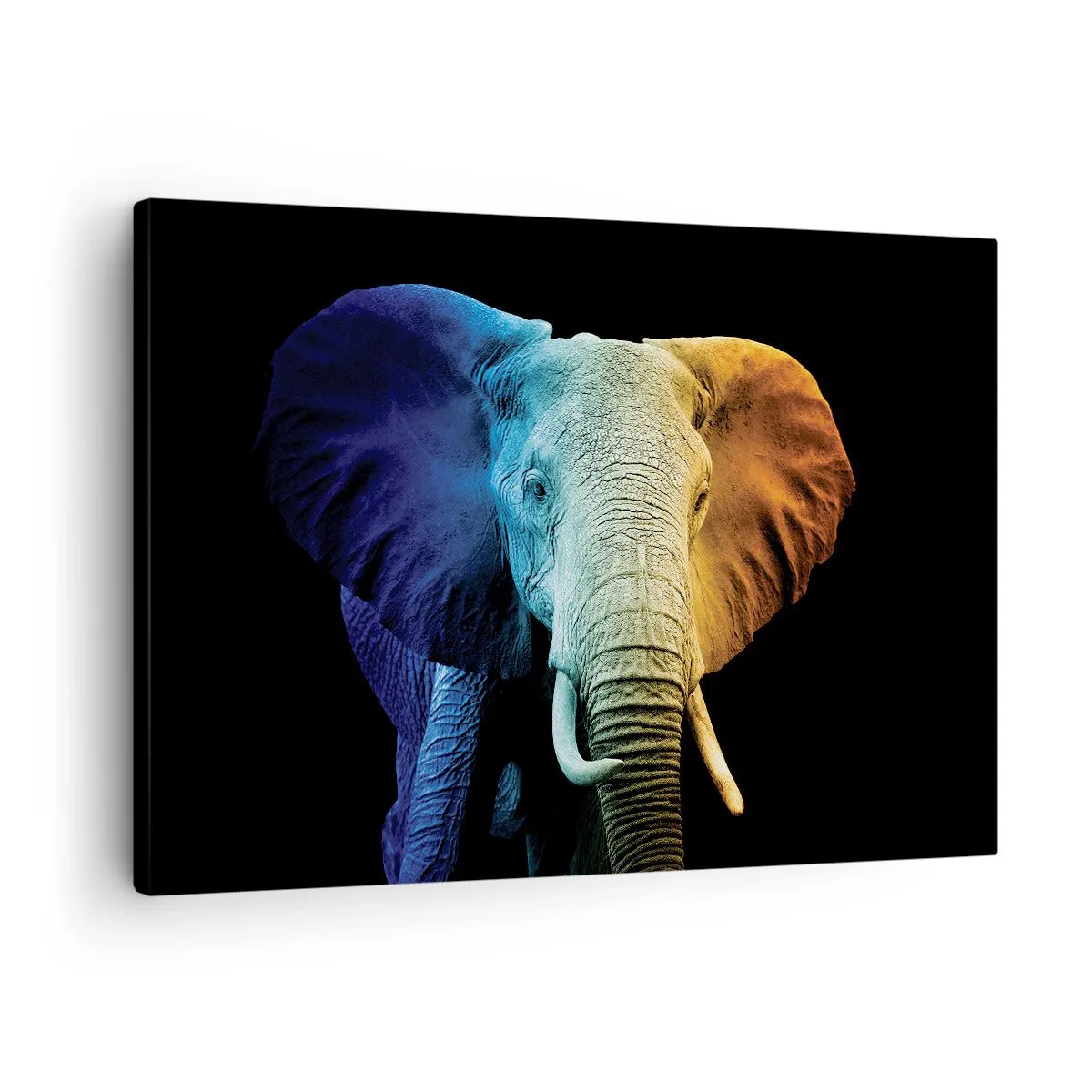 Bild auf Leinwand - Leinwandbild - Elefantenporträt in Regenbogenfarben - 70x50cm - Exzentrisch, kein Verrückter - Moderne Wanddekoration für Wohnzimmer und Schlafzimmer ARTTOR