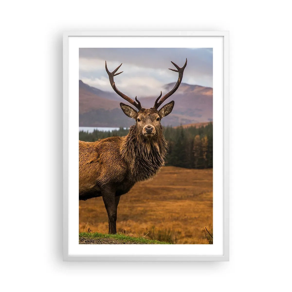 Poster in einem weißen Rahmen - Die Majestät der Natur - 50x70 cm