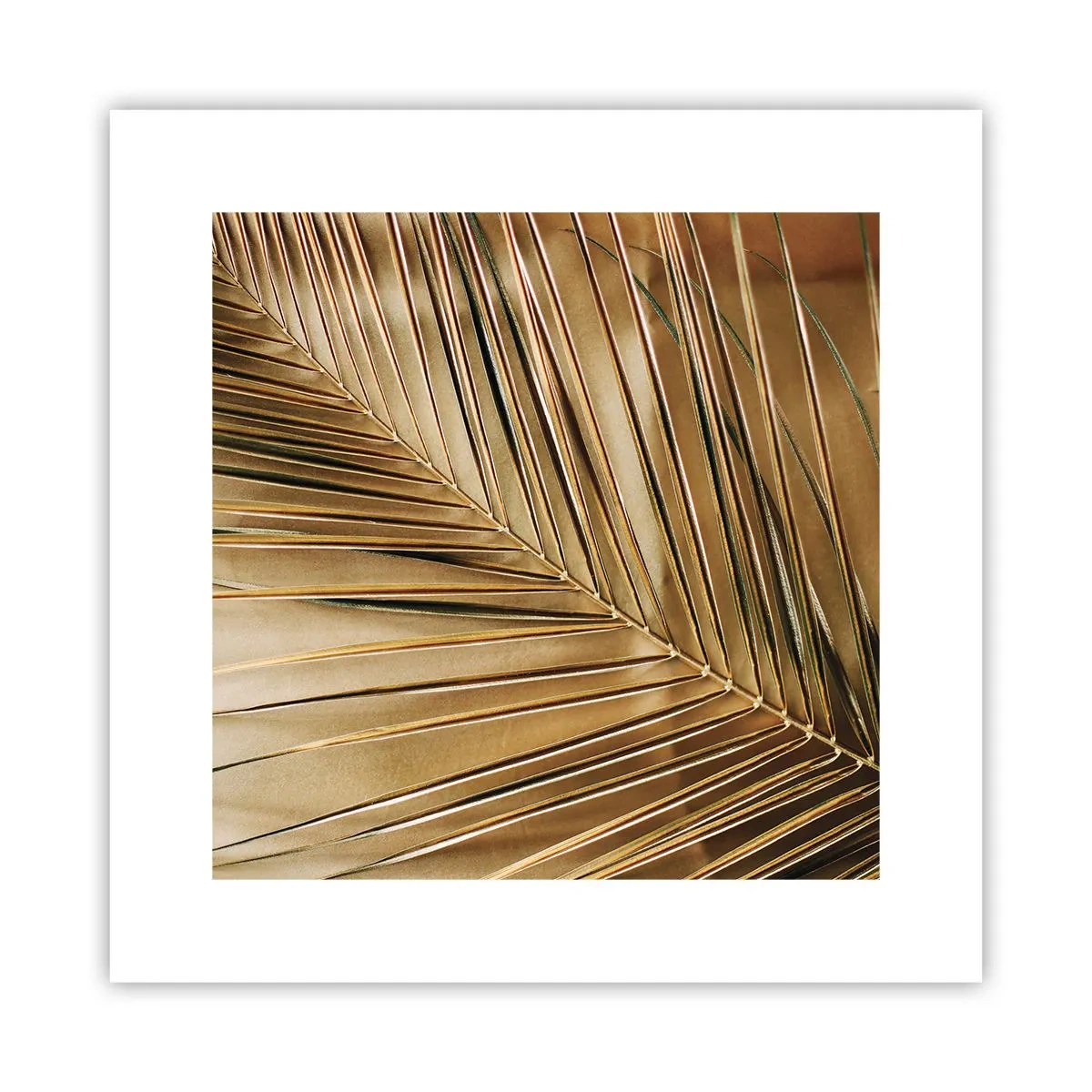 Poster - Natürliche Kolonnade - 30x30 cm