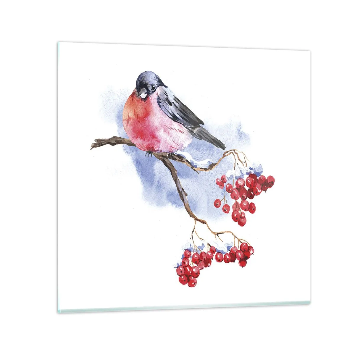 Glasbild - Bild auf glas - Winter in Farbe - 50x50 cm