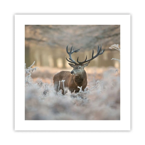 Poster - Ein flotter Morgen - 40x40 cm