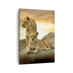 Bild auf Leinwand - Leinwandbild - Zwei Löwinnen ruhen bei Sonnenuntergang auf einem Felsen - 50x70cm - Königliche Majestät - Moderne Wanddekoration für Wohnzimmer und Schlafzimmer ARTTOR