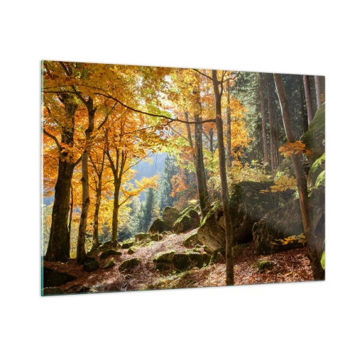 Glasbild - Bild auf glas - Herbstwald mit Sonnenstrahlen und Steinen - 100x70cm - Zeit zum Entspannen - Moderne Wanddekoration für Wohnzimmer und Schlafzimmer ARTTOR
