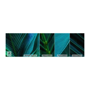 Fototapetenmuster Standard Eco - Die Anatomie des Grüns - Grüne Blätter, Tropische Pflanze, Natur - 100x30 cm