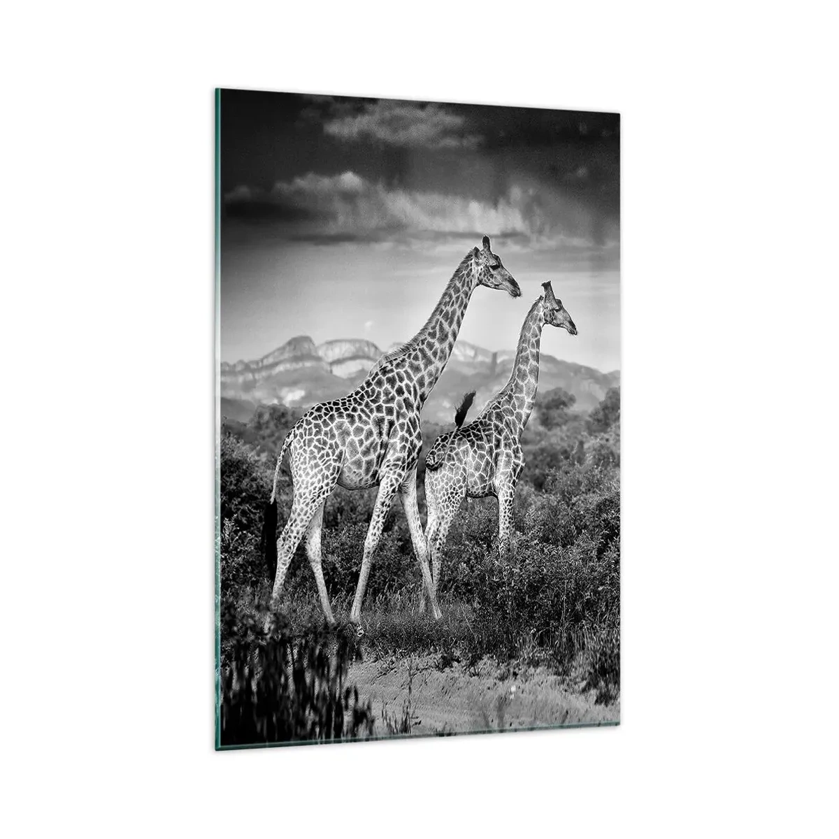 Glasbild - Bild auf glas - Schwarz-weiße Silhouetten zweier Giraffen in der Savanne - 80x120cm - Hohe Sphären in Afrika - Moderne Wanddekoration für Wohnzimmer und Schlafzimmer ARTTOR