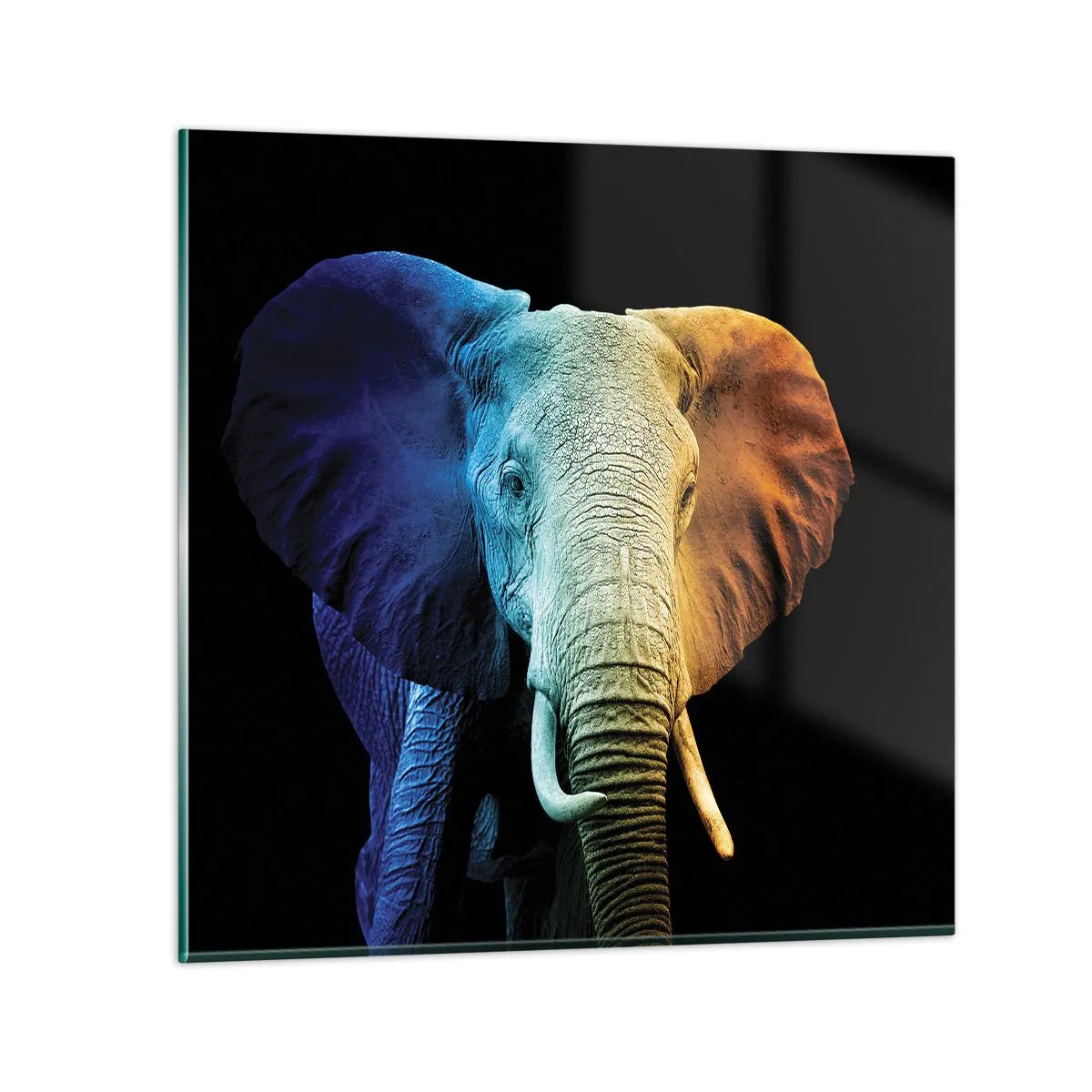 Glasbild - Bild auf glas - Exzentrisch, kein Verrückter - 60x60 cm