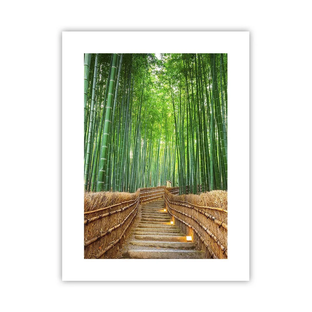 Poster - Die Essenz der asiatischen Natur - 30x40 cm