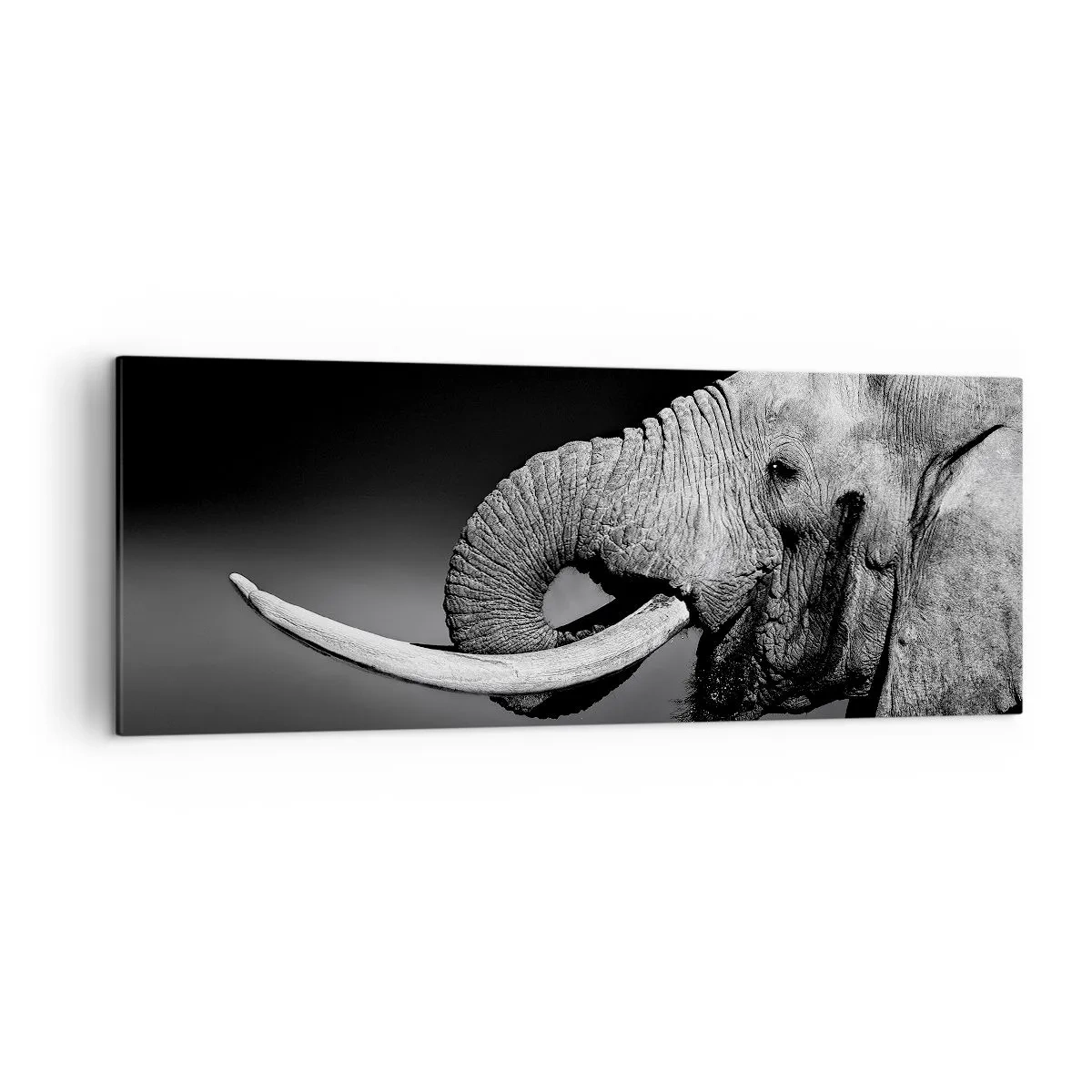 Bild auf Leinwand - Leinwandbild - Schwarz-Weiß-Porträt eines Elefanten im Profil - 140x50cm - Ja, gut jetzt - Moderne Wanddekoration für Wohnzimmer und Schlafzimmer ARTTOR