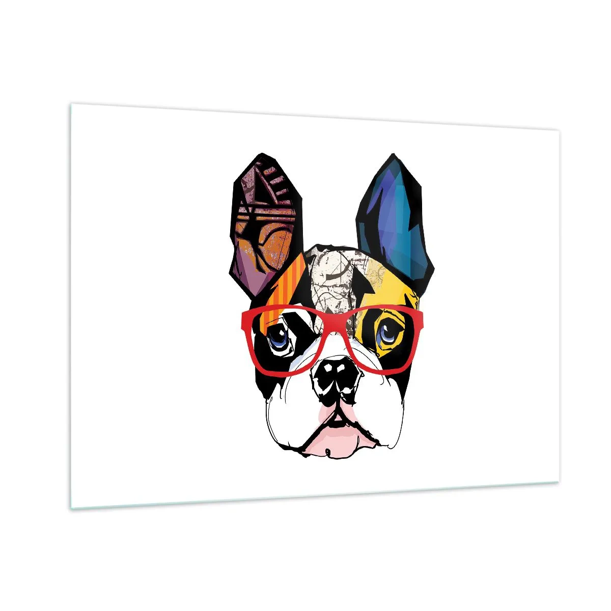 Glasbild - Bild auf glas - Bulldogge trägt bunte Brille auf weißem Hintergrund - 100x70cm - Intellektuelle - Moderne Wanddekoration für Wohnzimmer und Schlafzimmer ARTTOR