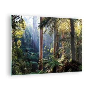 Glasbild - Bild auf glas - Grüner tropischer Wald mit Sonnenstrahlen - 70x50cm - Ein Waldmärchen - Moderne Wanddekoration für Wohnzimmer und Schlafzimmer ARTTOR