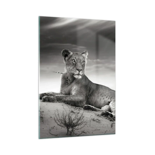 Glasbild - Bild auf glas - In einem schwarz-weißen Rahmen in der Wüste liegen gelassen - 50x70cm - Die Königin der Wüstenruhe - Moderne Wanddekoration für Wohnzimmer und Schlafzimmer ARTTOR