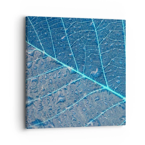 Bild auf Leinwand - Leinwandbild - Leben in Blau - 30x30 cm