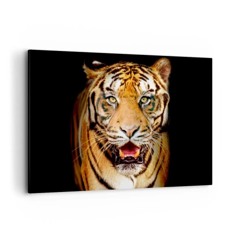 Bild auf Leinwand - Leinwandbild - Ein Tiger mit offenem Maul auf schwarzem Hintergrund - 100x70cm - Wild im Herzen - Moderne Wanddekoration für Wohnzimmer und Schlafzimmer ARTTOR