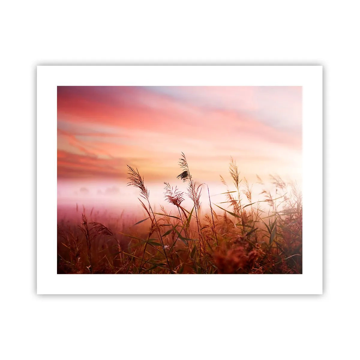 Poster - Drachen, Löwenzahn, Wind - 50x40 cm