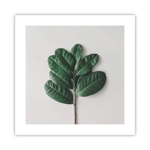 Poster - Eine Zeichnung purer Natur - 40x40 cm