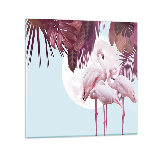 Glasbild - Bild auf glas - Drei Vogelgnaden - 70x70 cm