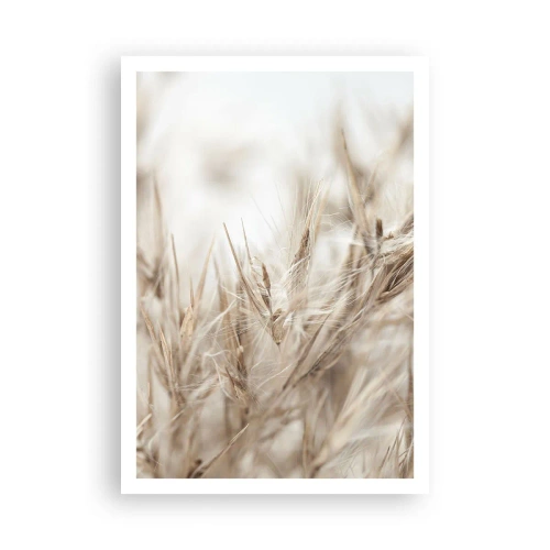 Poster - Wiese und Wind - 70x100 cm