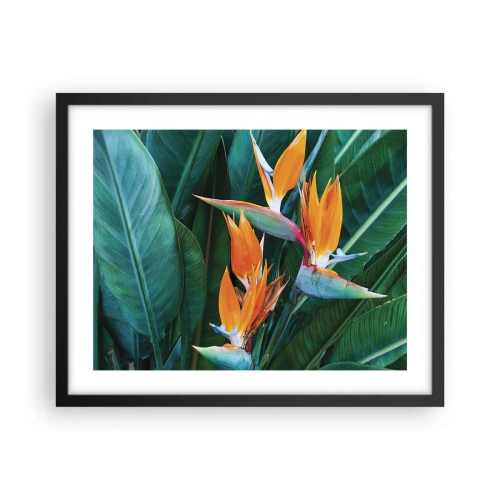 Poster in einem schwarzem Rahmen - Ist es eine Blume oder ist es ein Vogel? - 50x40 cm