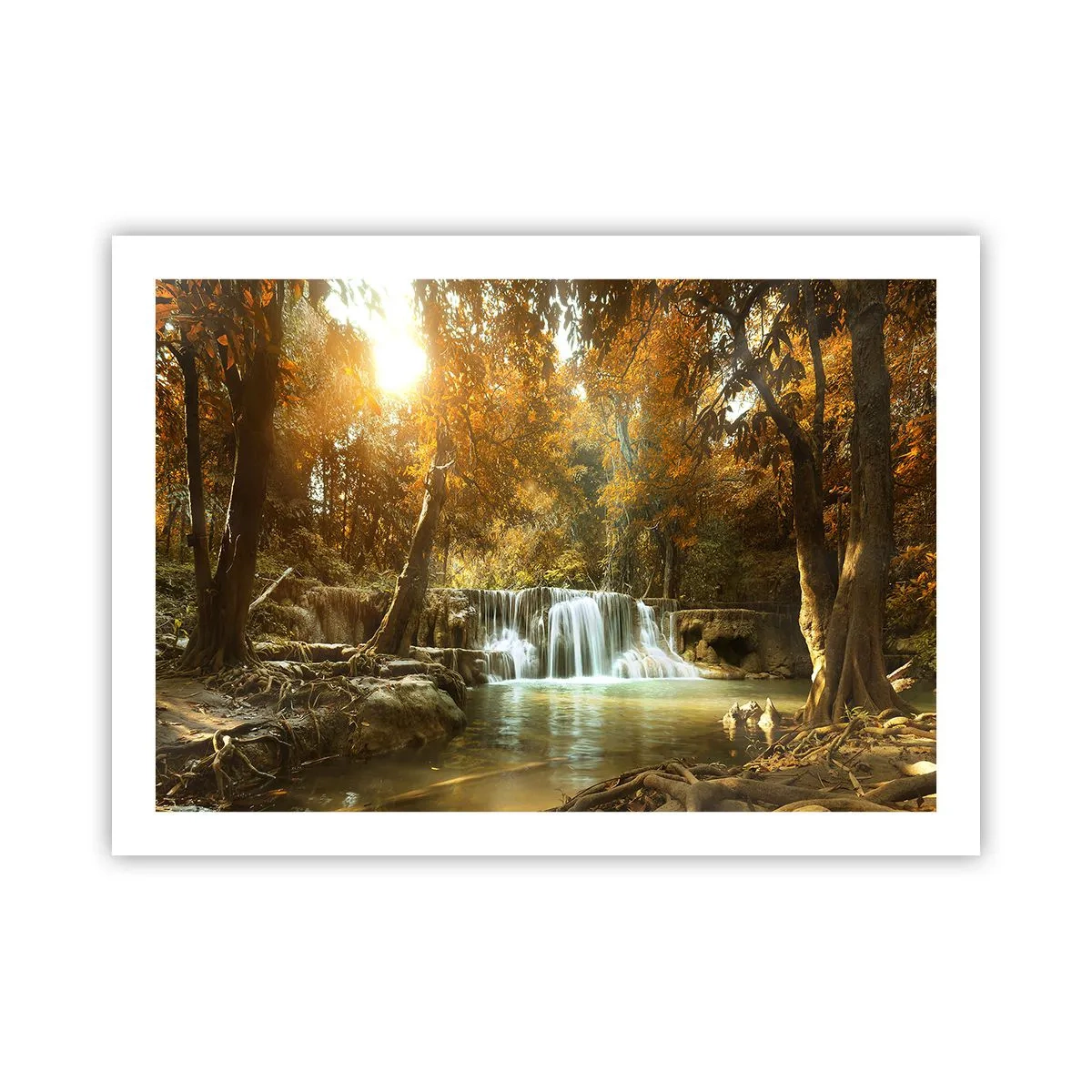 Poster - Parkkaskade - 70x50 cm