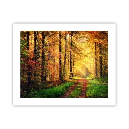 Poster - Waldgoldene Stille - 50x40 cm
