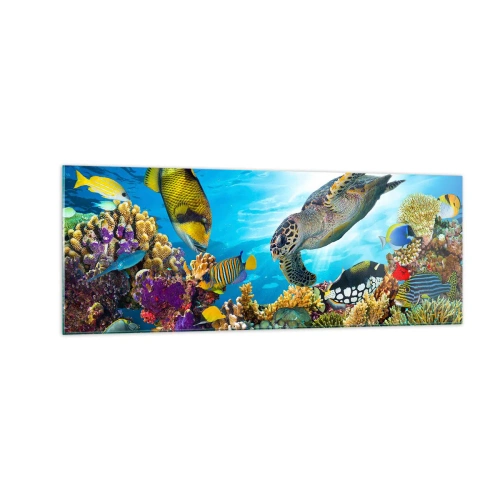 Glasbild - Bild auf glas - Unterwasserwelt mit bunten Fischen und einer Schildkröte in den Korallen - 140x50cm - Korallenpromenade - Moderne Wanddekoration für Wohnzimmer und Schlafzimmer ARTTOR